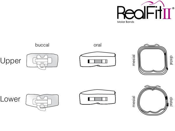 RealFit™ II snap - OK, Einfach-Kombination (Zahn 26, 27) MBT* .018"